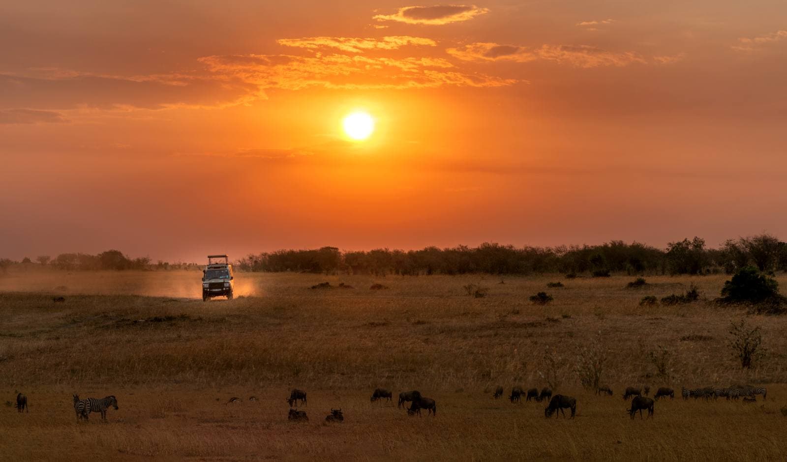 Remote Ruaha wilderness with baobabs and dry riverbeds