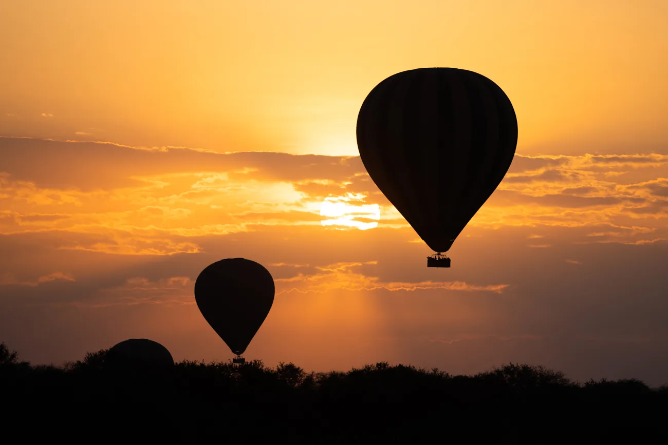 Hot-air balloons rising into the sunrise above a dark treeline