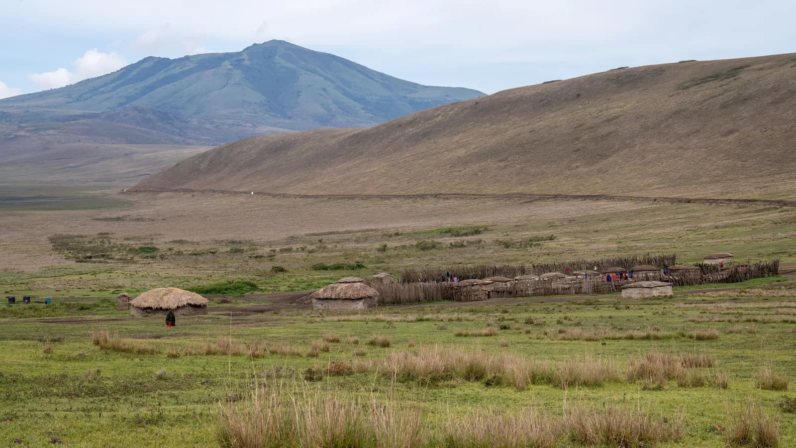 A Maasai boma of round thatched houses inside a wooden stockade, on open grassland below a mountain
