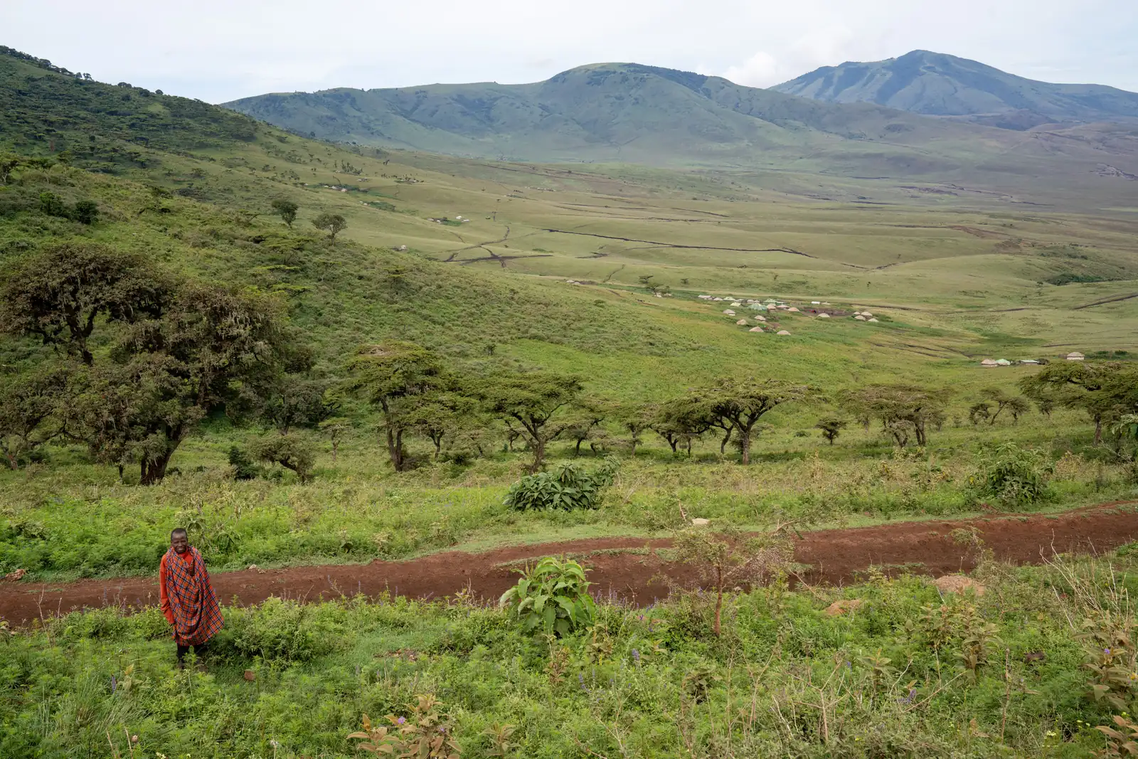 A man wrapped in a red checked shuka beside a red dirt track, above a green valley of acacias and scattered homesteads