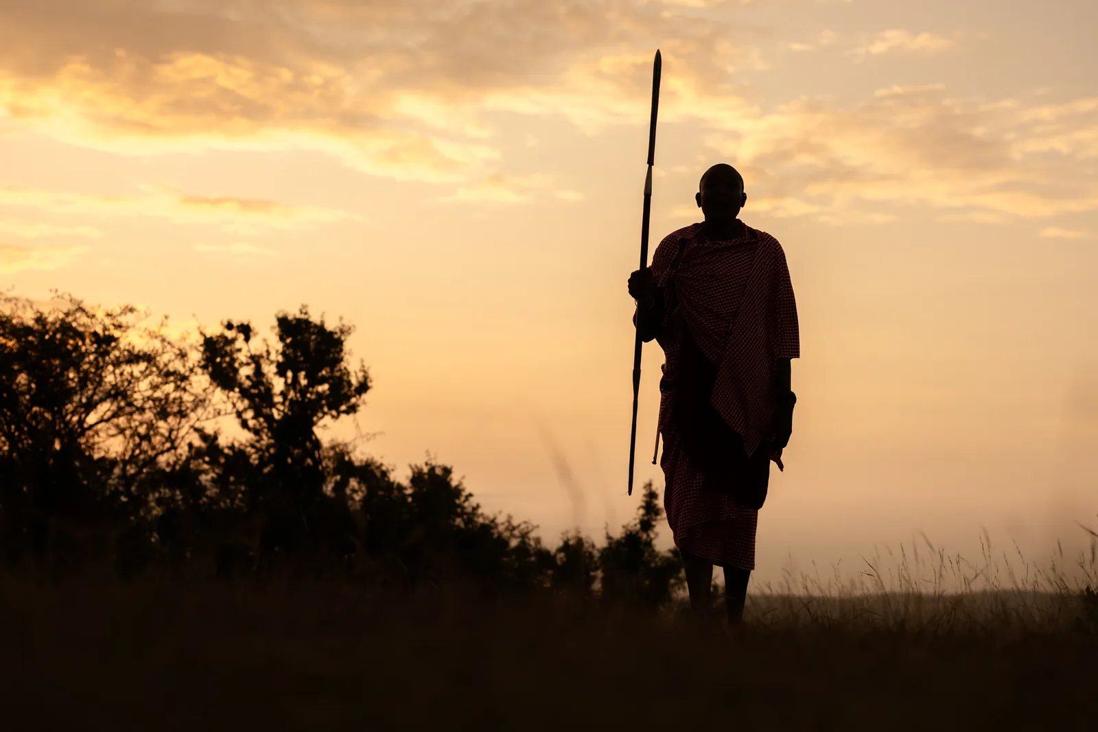 A Maasai man with a spear, silhouetted against a golden sky at dusk