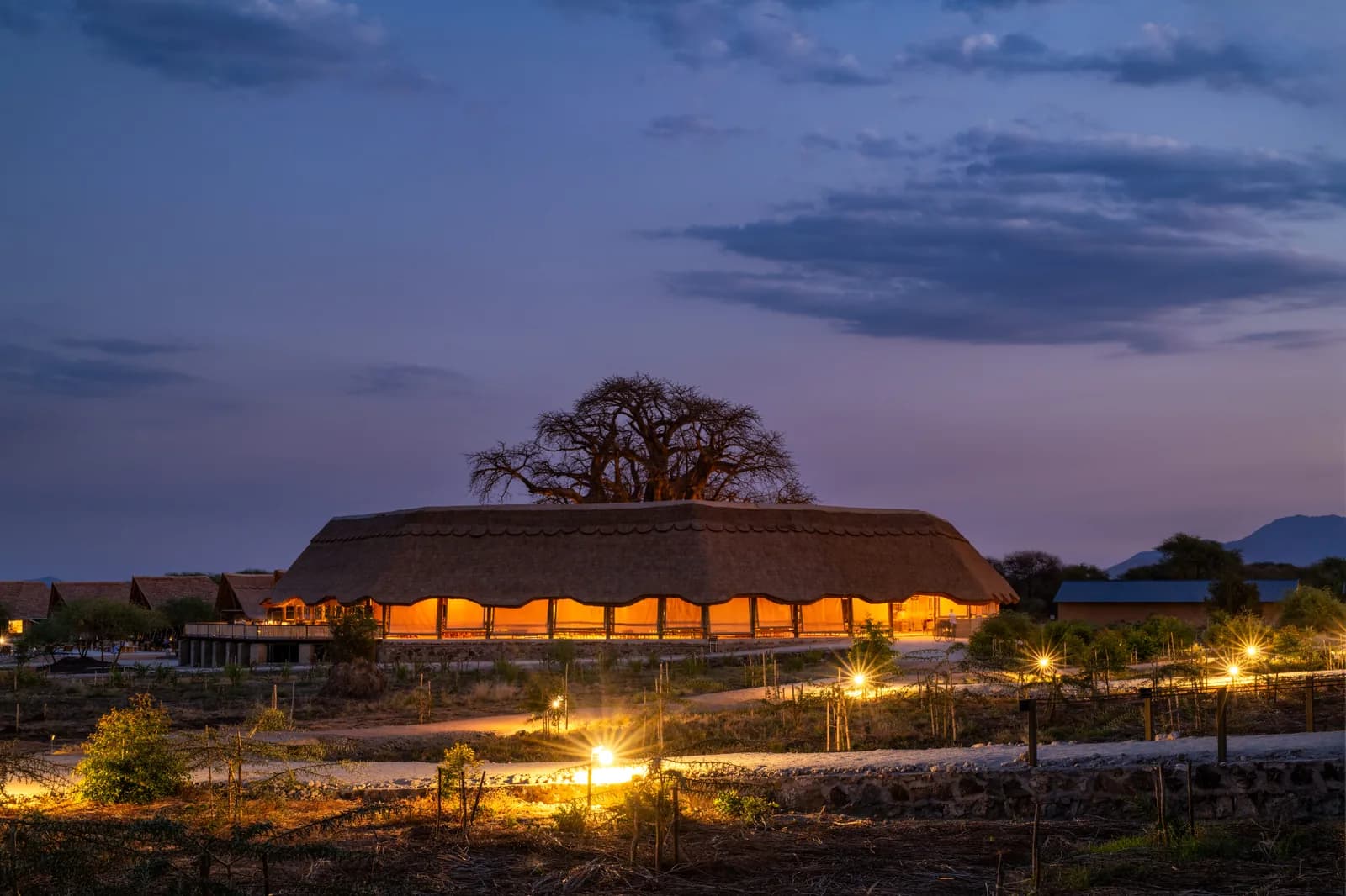 The thatched main lodge lit up at dusk, with a baobab behind it