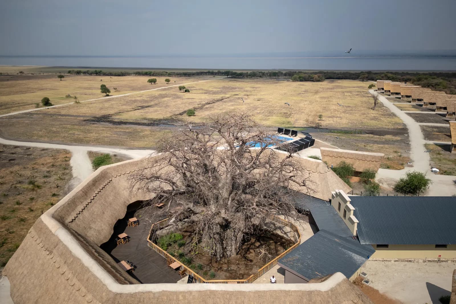 Aerial view of the main lodge built around a great baobab, with the lake in the distance