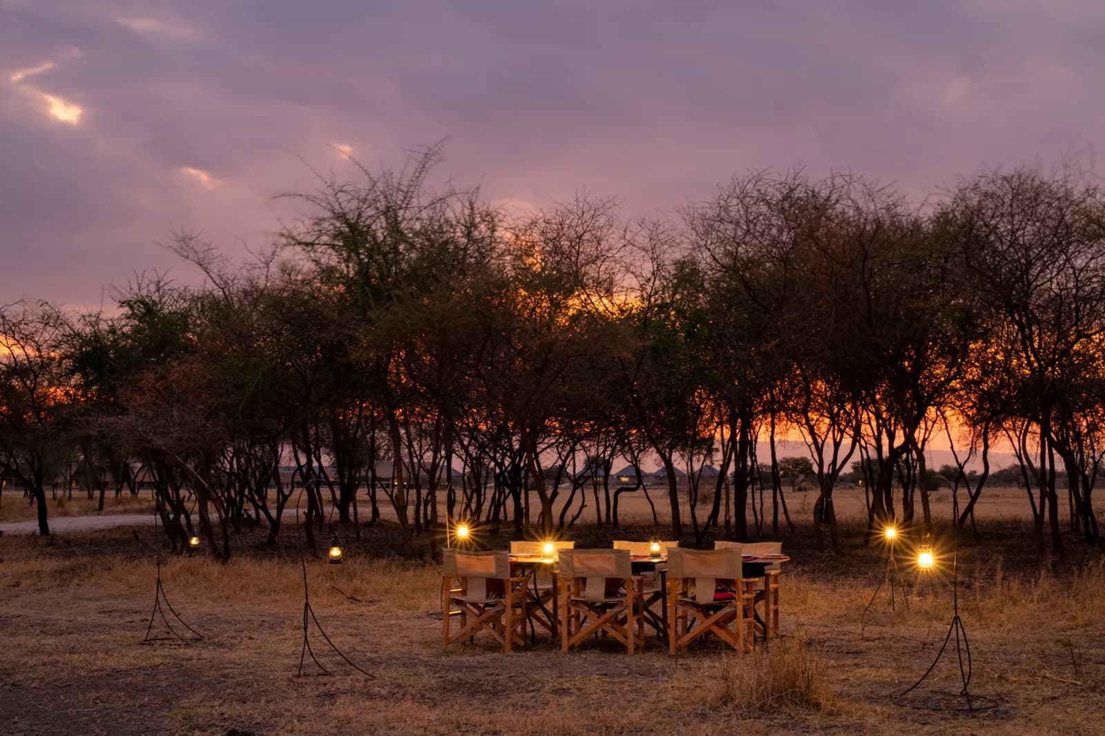 Dinner table set among acacia trees, lit by lanterns at dusk