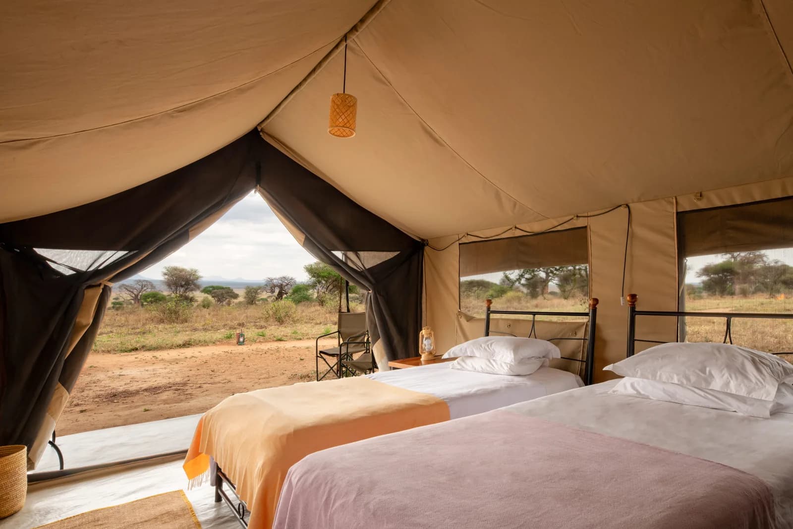 Twin beds in a tent, with the bush through the open front