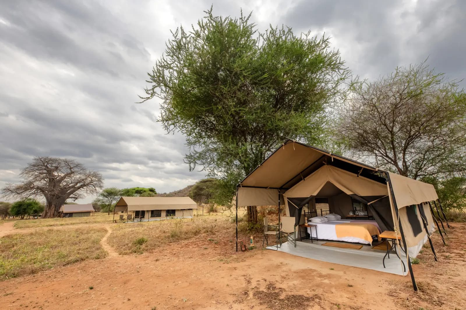 A guest tent among acacias, with a baobab in the distance