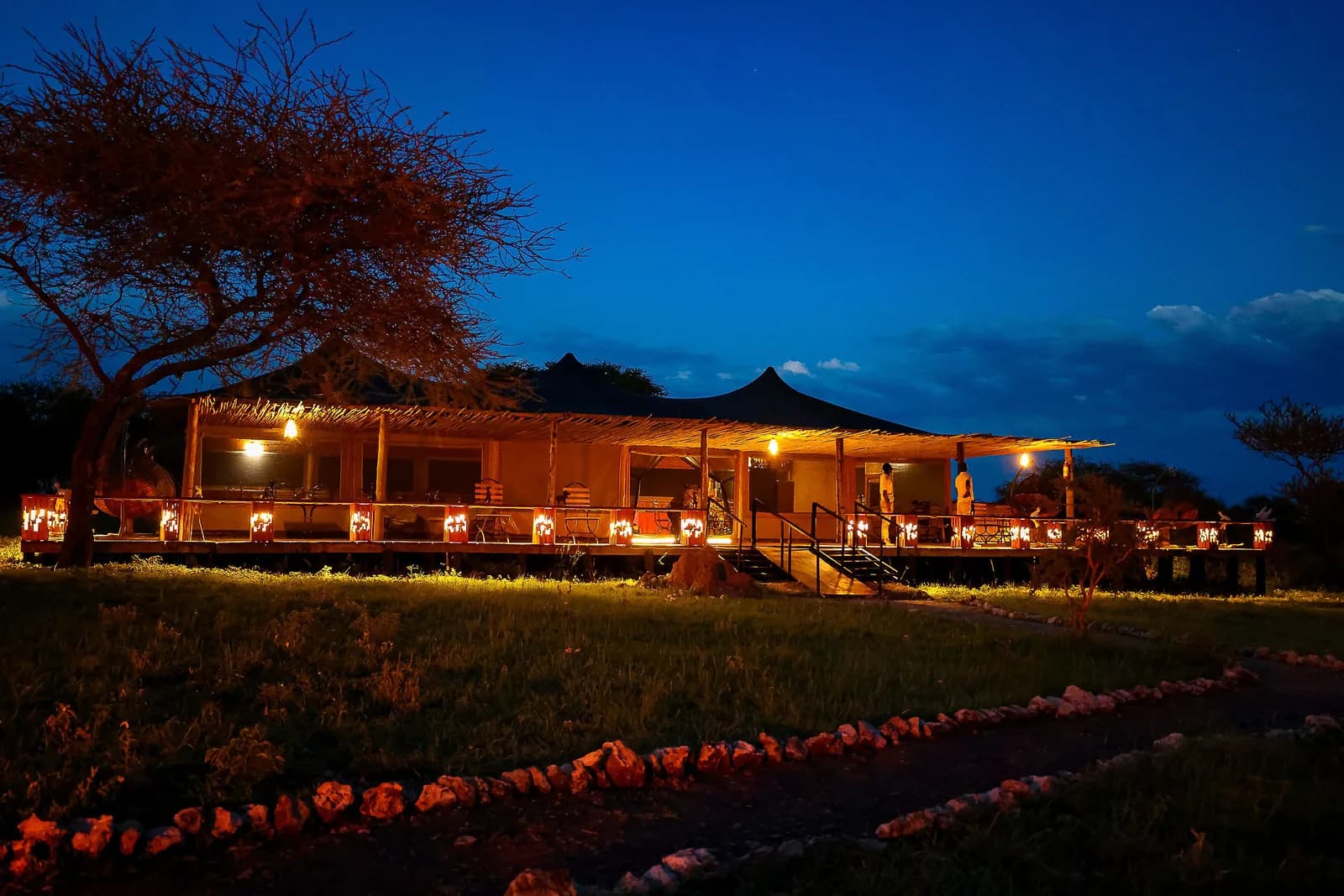 The main tent and an acacia tree at dusk