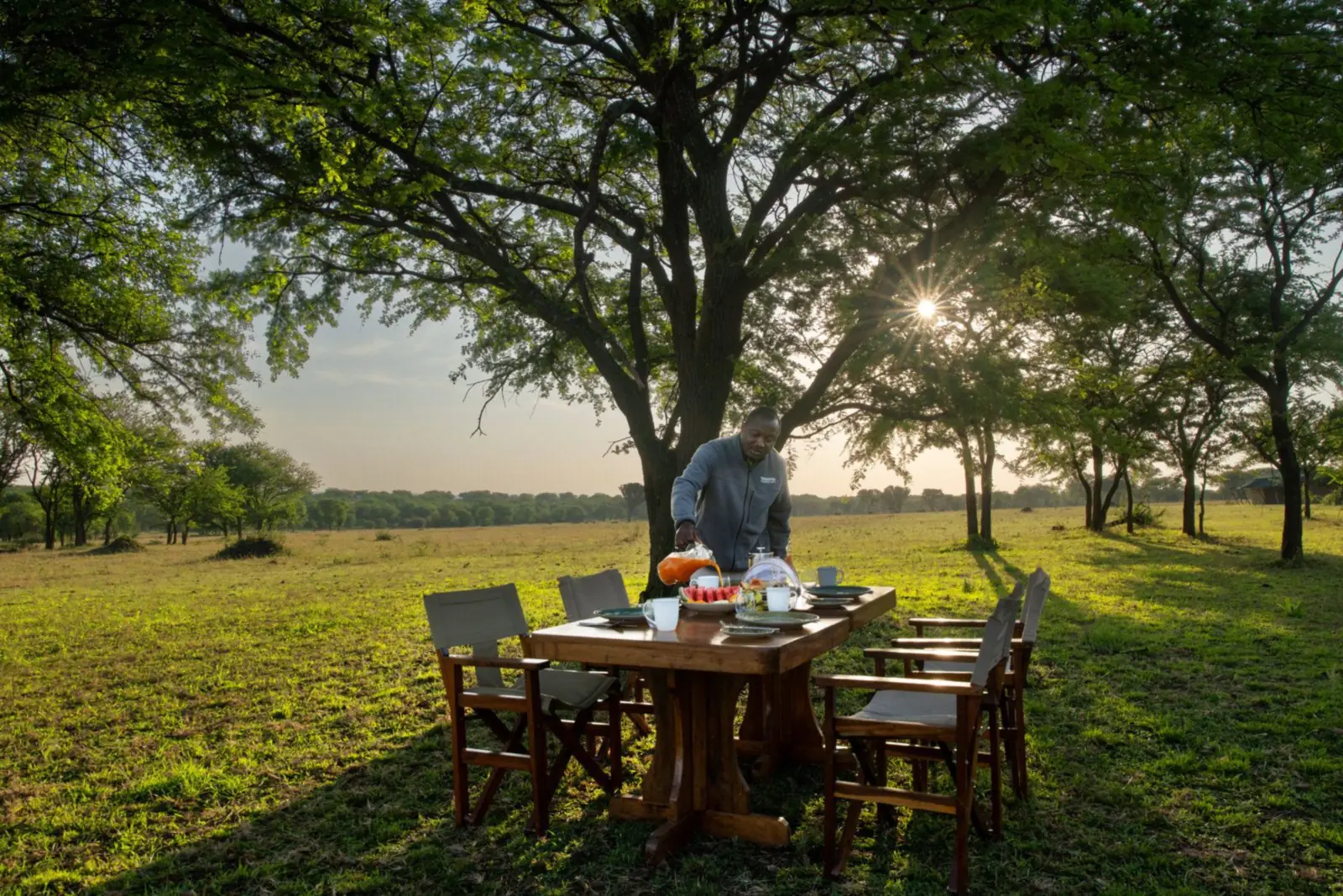 A staff member setting breakfast on a table under a tree on the plains