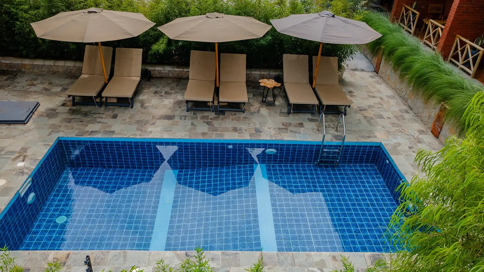 The pool from above, with sun loungers and umbrellas along one side and plants around the edge
