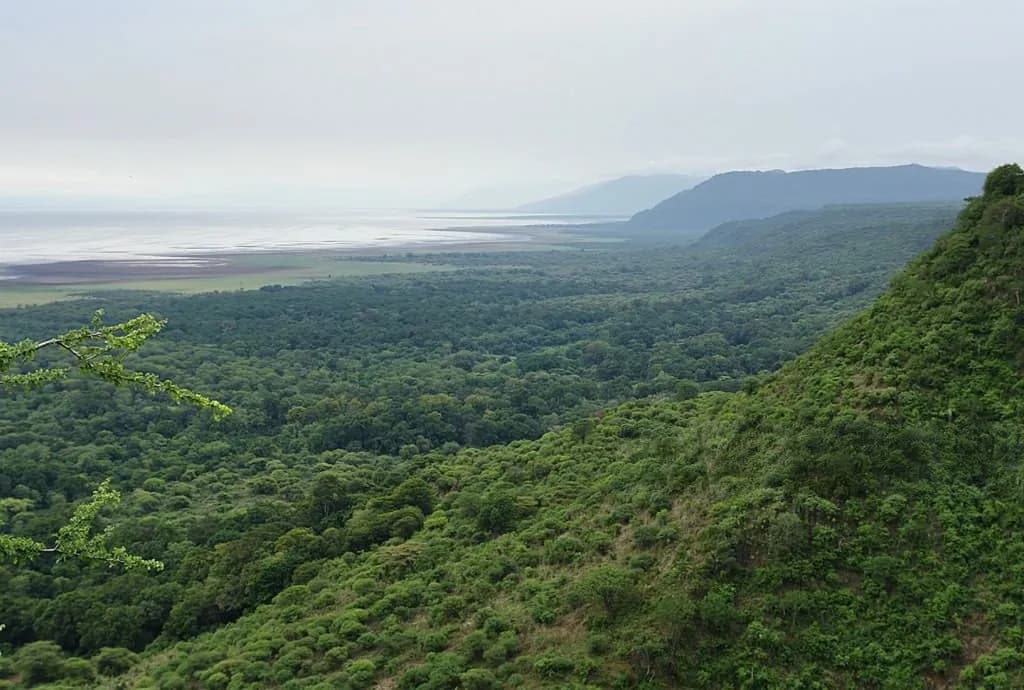View from the Rift Valley escarpment over the groundwater forest to Lake Manyara