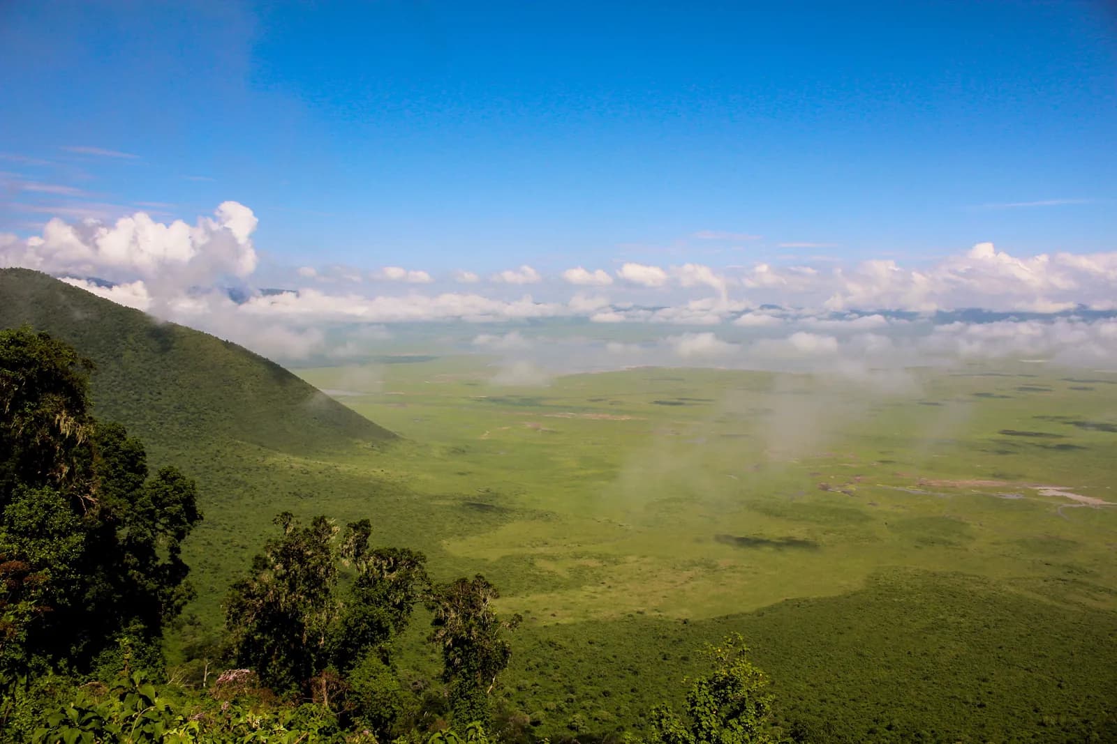 The green floor of the Ngorongoro Crater seen from the forested rim, with low cloud drifting across it