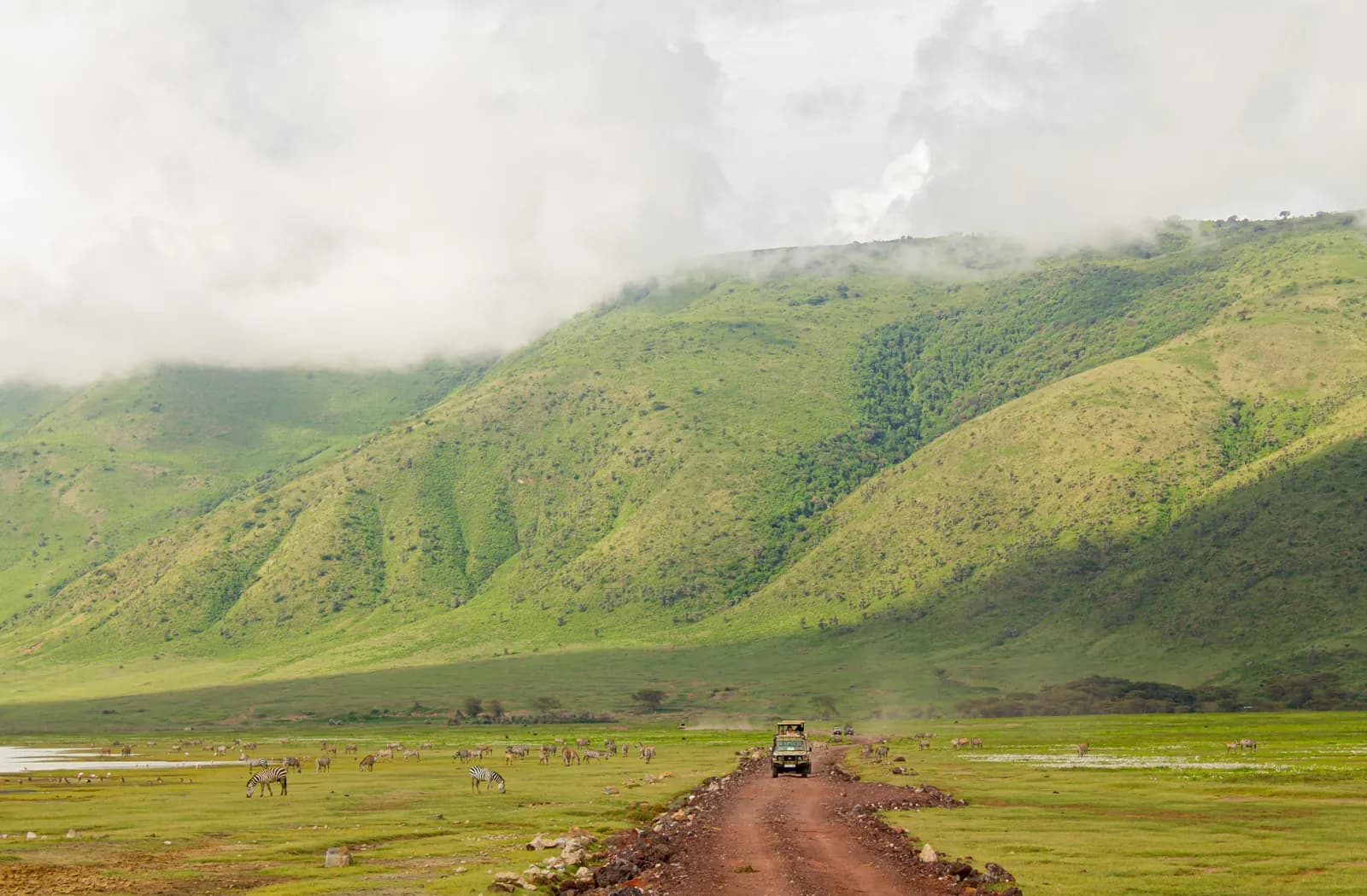 A safari vehicle on a red dirt track across the crater floor, zebras grazing beside it below cloud-capped walls