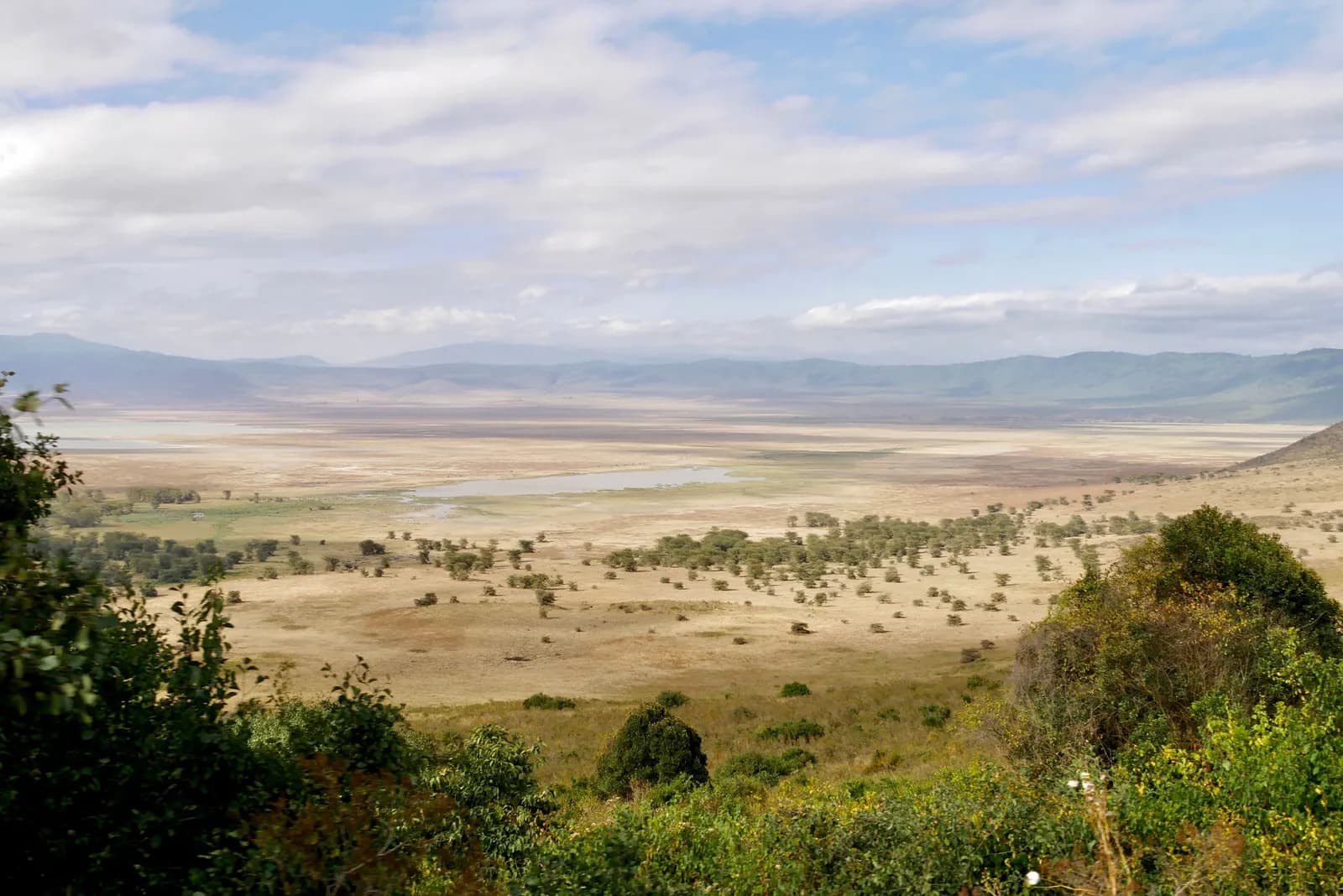 The crater floor seen from the rim: dry grassland, scattered acacias and a shallow lake below a ring of hills