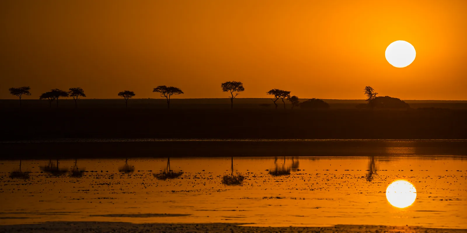 The setting sun and a line of acacias reflected in still water