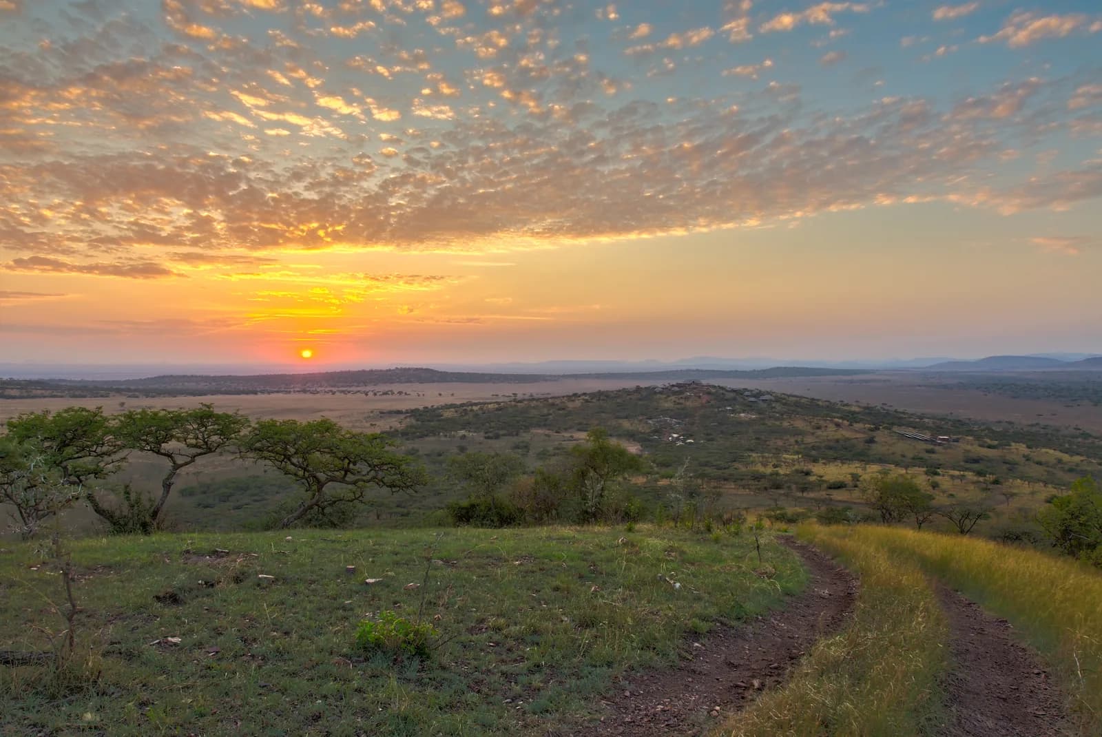 Sunrise over the Serengeti's Western Corridor, a dirt track running through grass and acacias toward distant hills