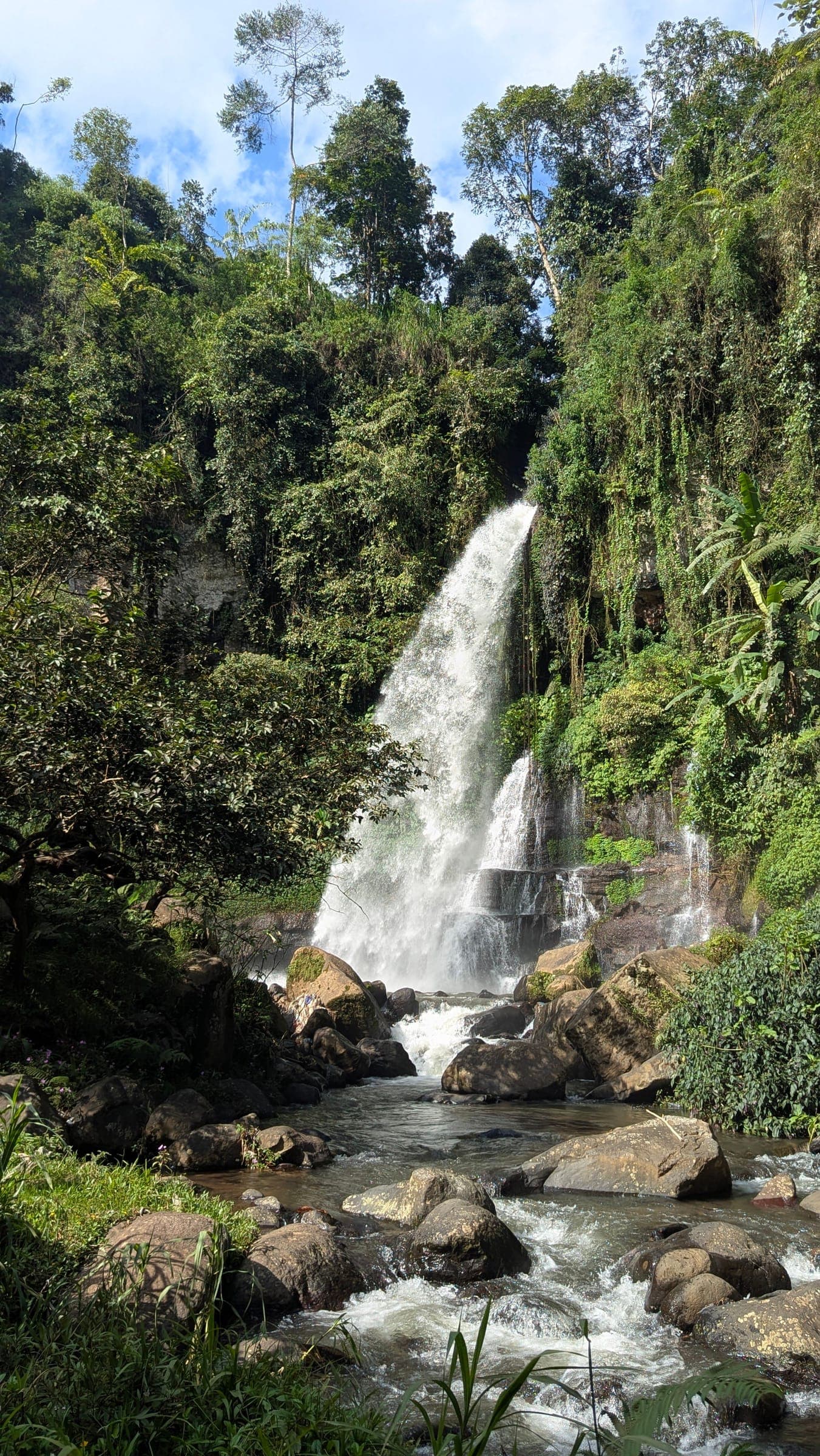 A forest waterfall on the slopes of Kilimanjaro