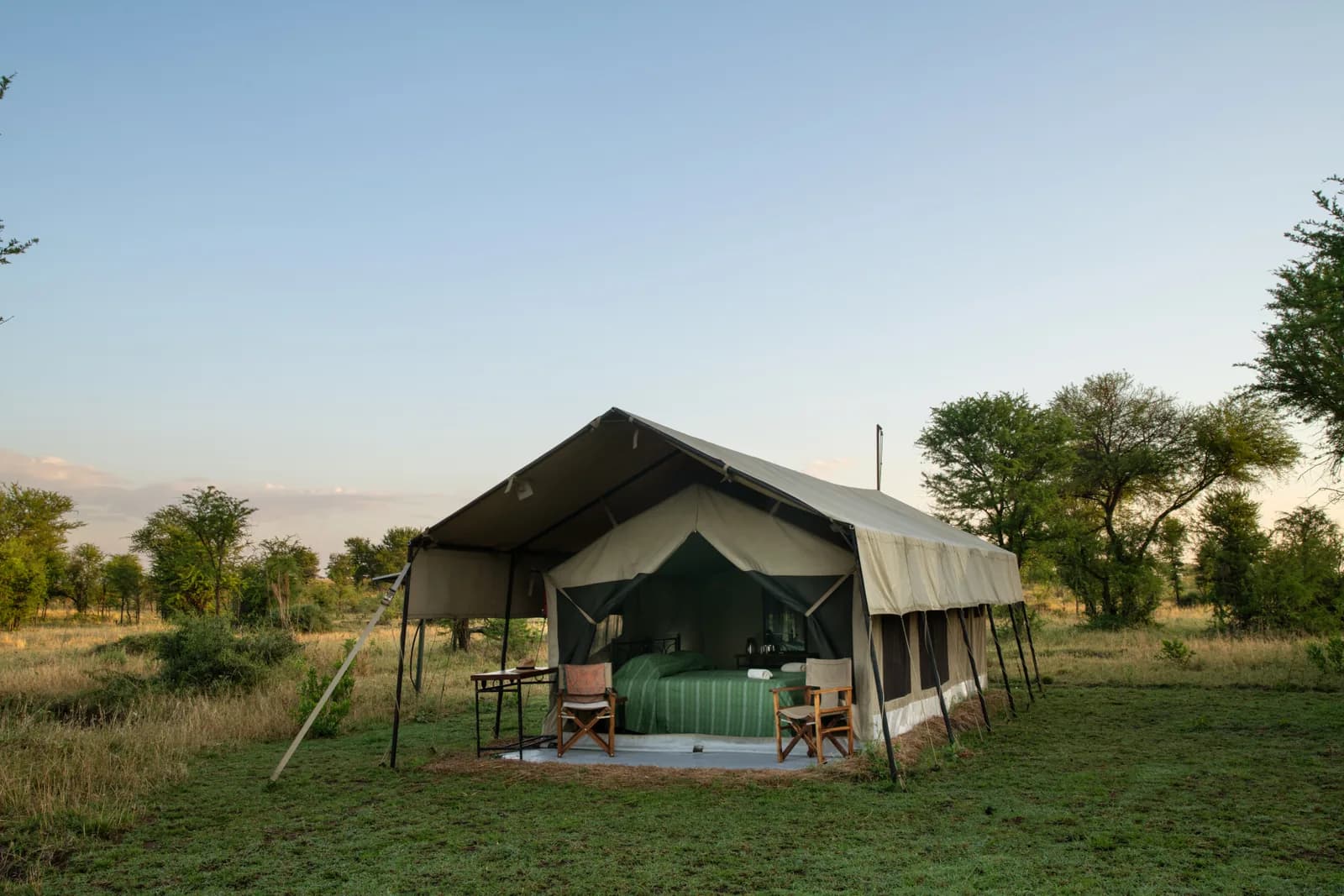 A guest tent on the grass with its flaps open, in the evening light