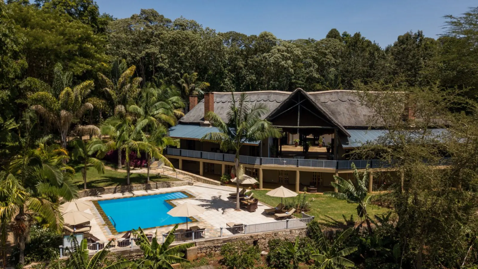 The thatched lodge and its pool among palms and forest