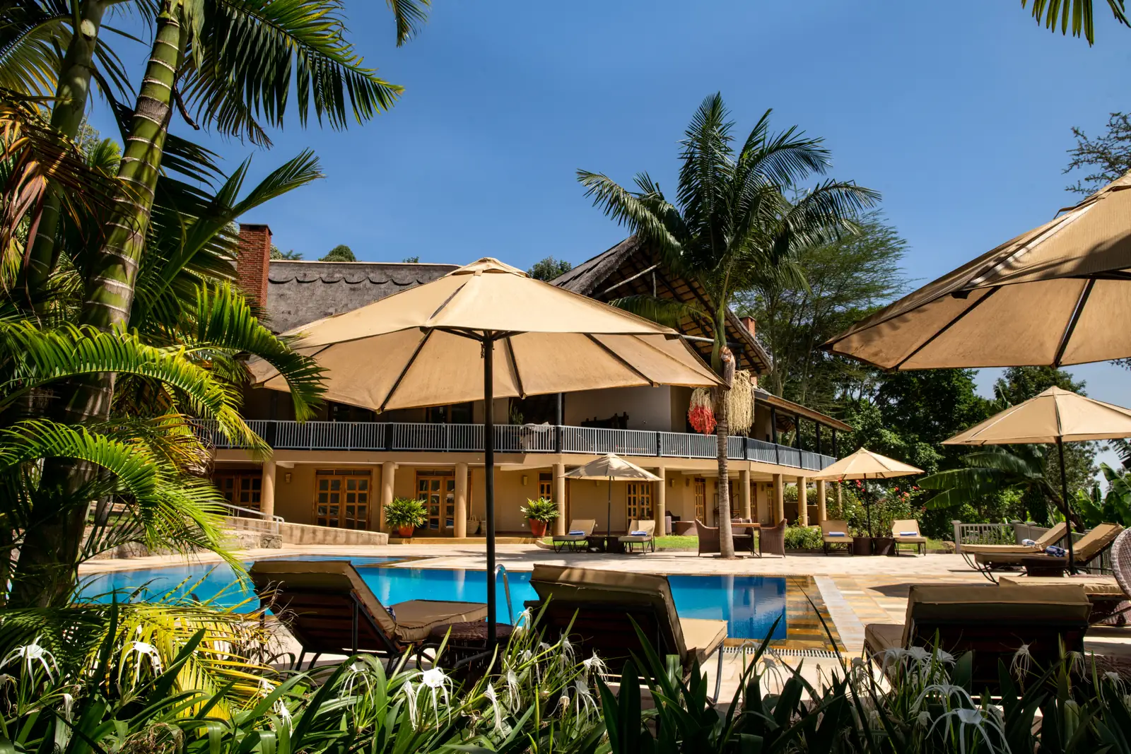 The pool and lodge building framed by palms and parasols