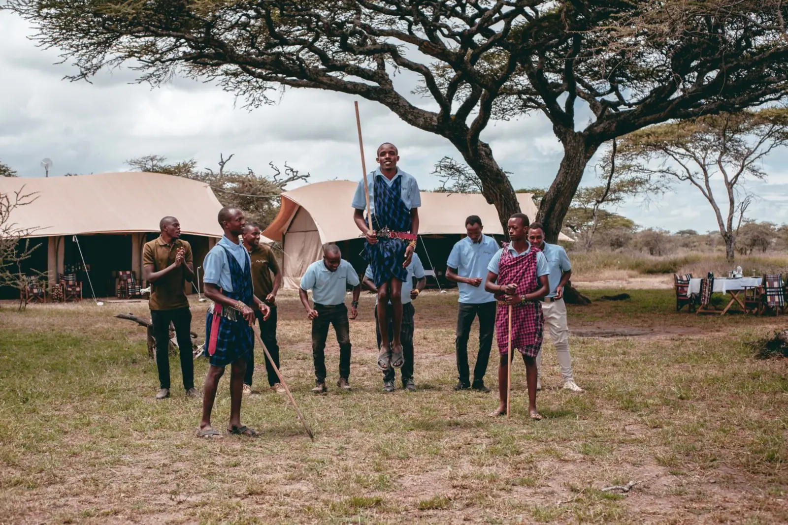 A Maasai man leaping in the jumping dance as camp staff watch
