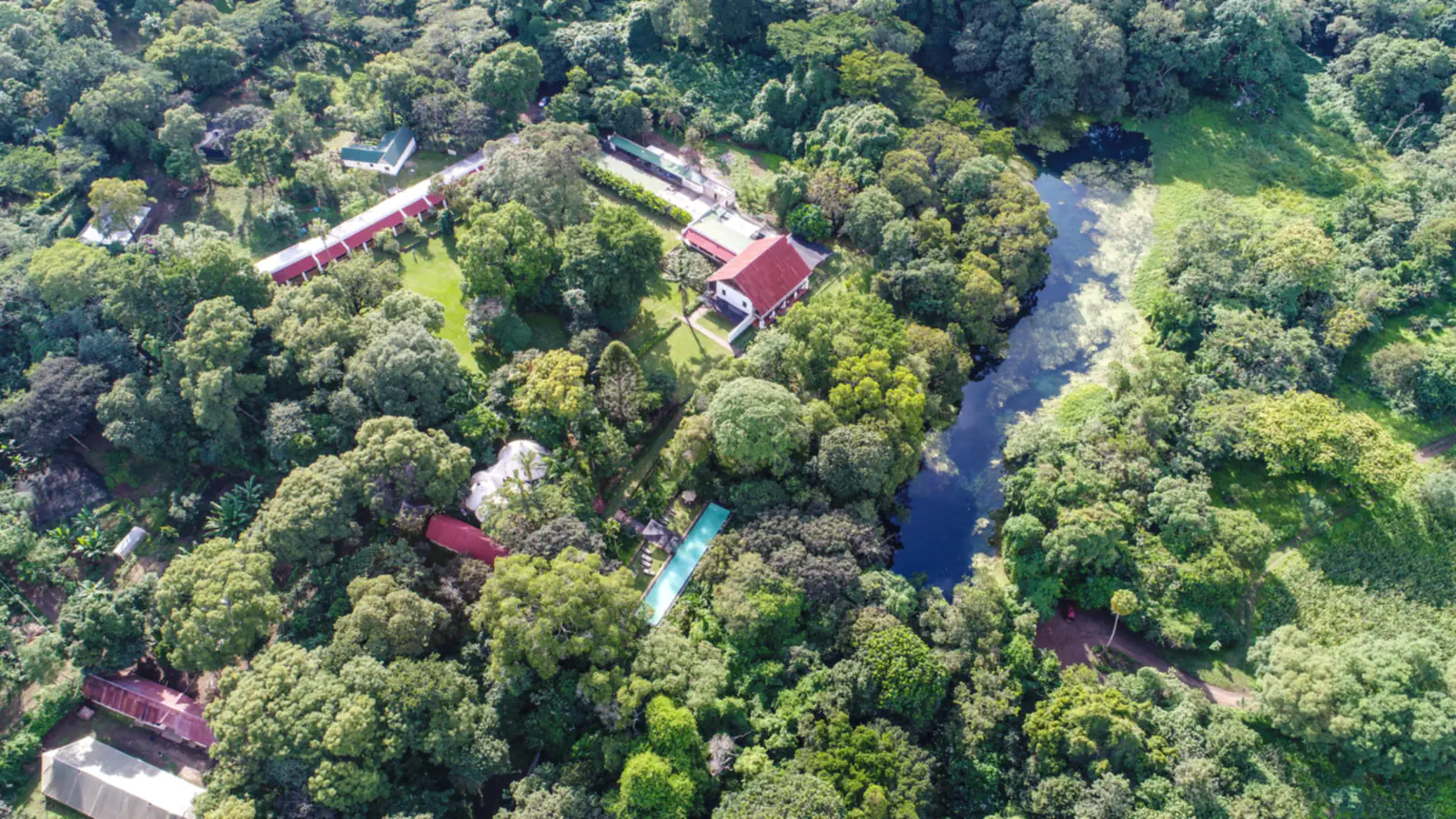 An aerial view of the lodge's red-roofed buildings and long pool in thick forest, beside a spring-fed lake