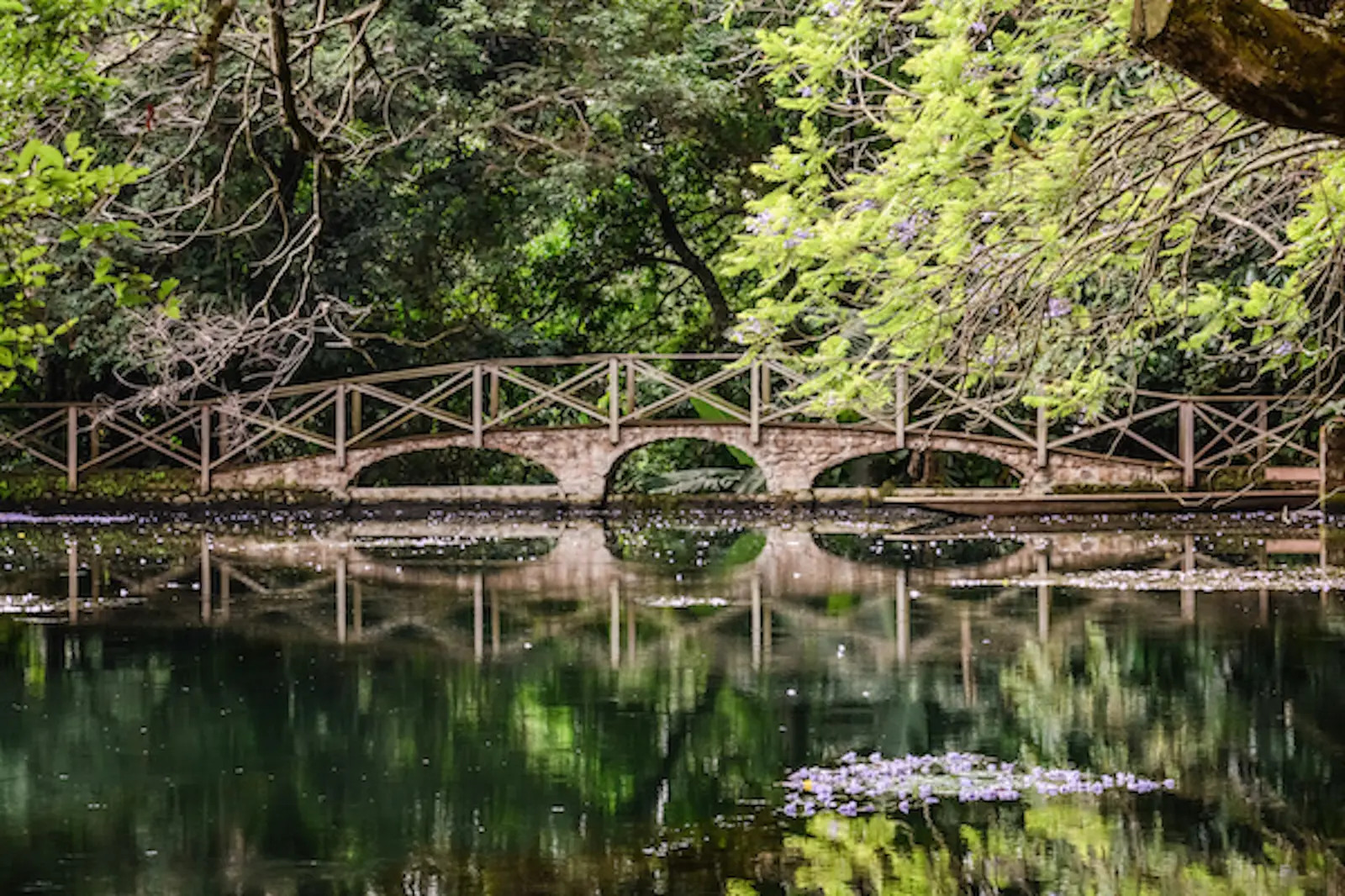 A stone footbridge with wooden railings over the lake, reflected in still water under the trees