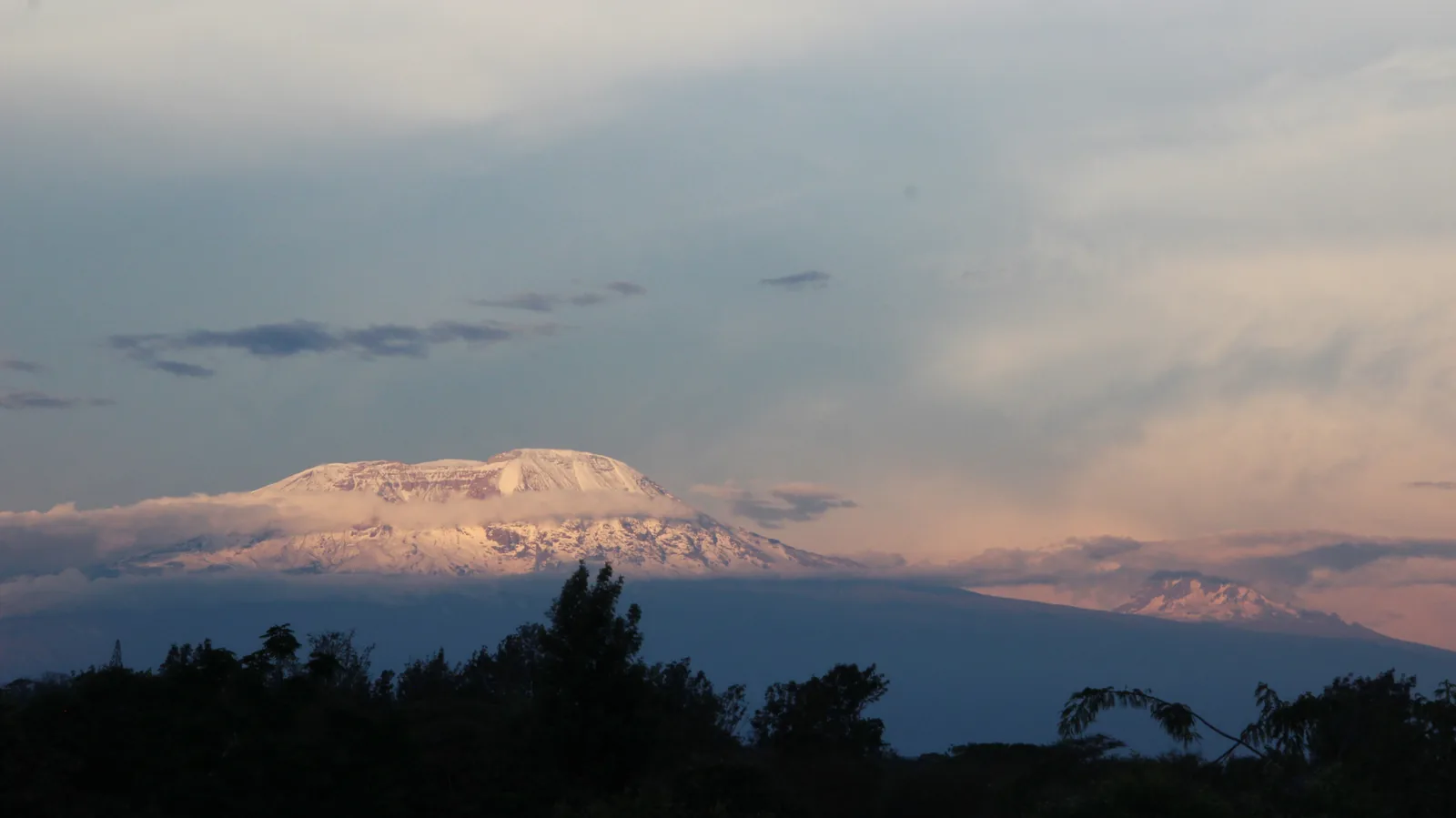 Kilimanjaro's snow-capped peaks above the clouds at dusk, over a line of dark trees