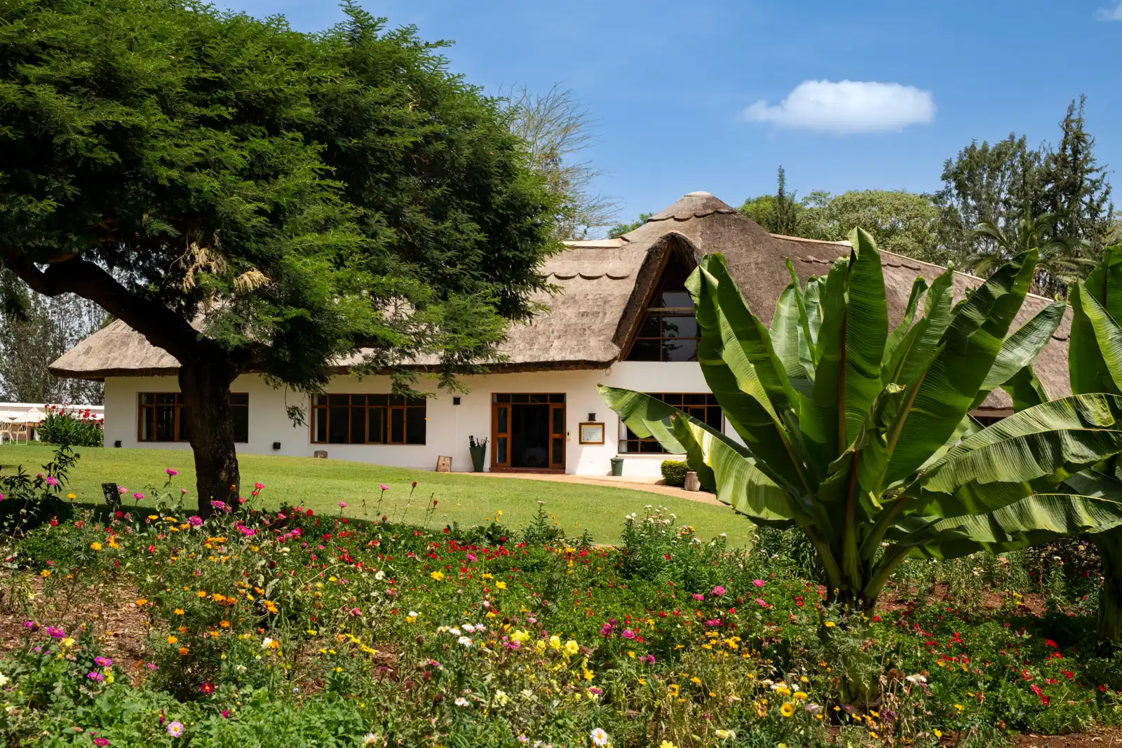 Thatched cottages behind a lawn and flowering garden
