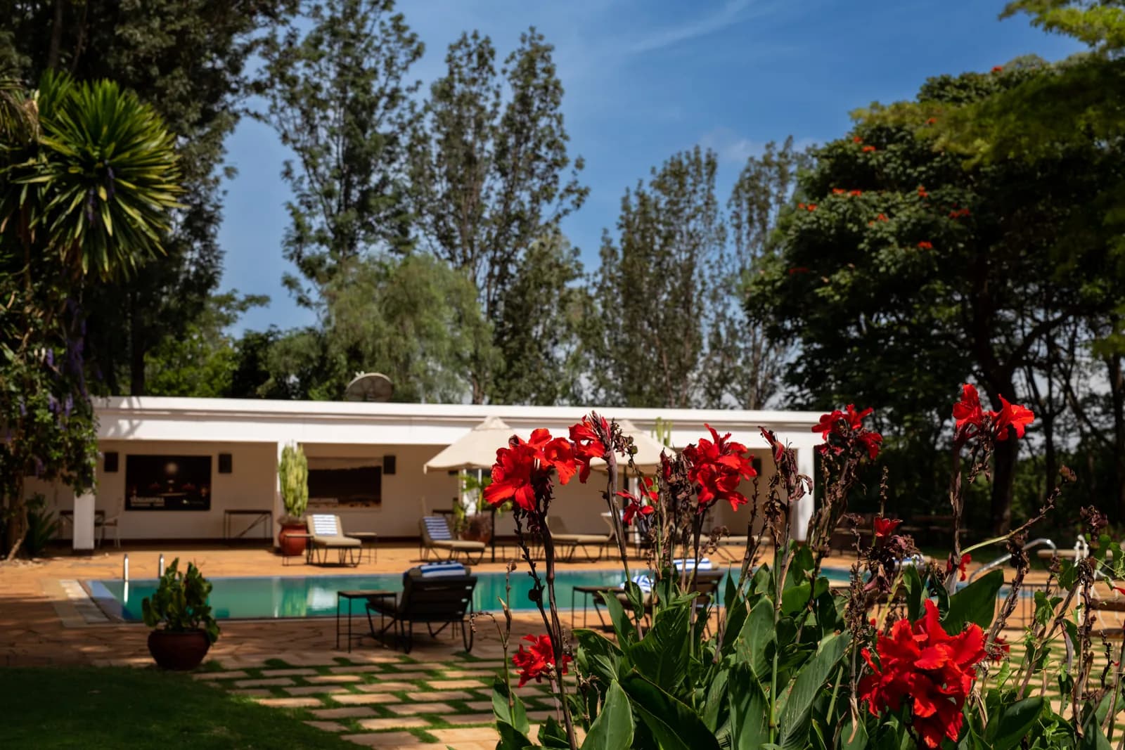 Swimming pool in front of a white cottage, with red flowers in the foreground