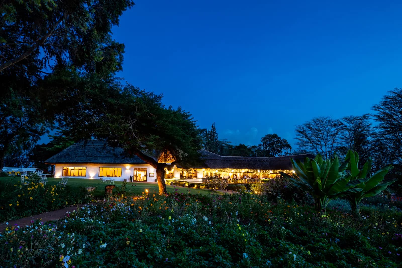 Lodge buildings glowing among the trees at dusk