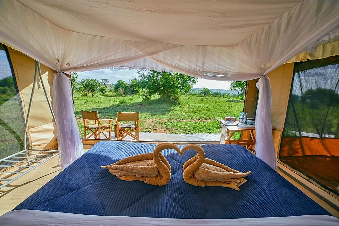 Bed with towel swans, looking out through the open tent to the plains