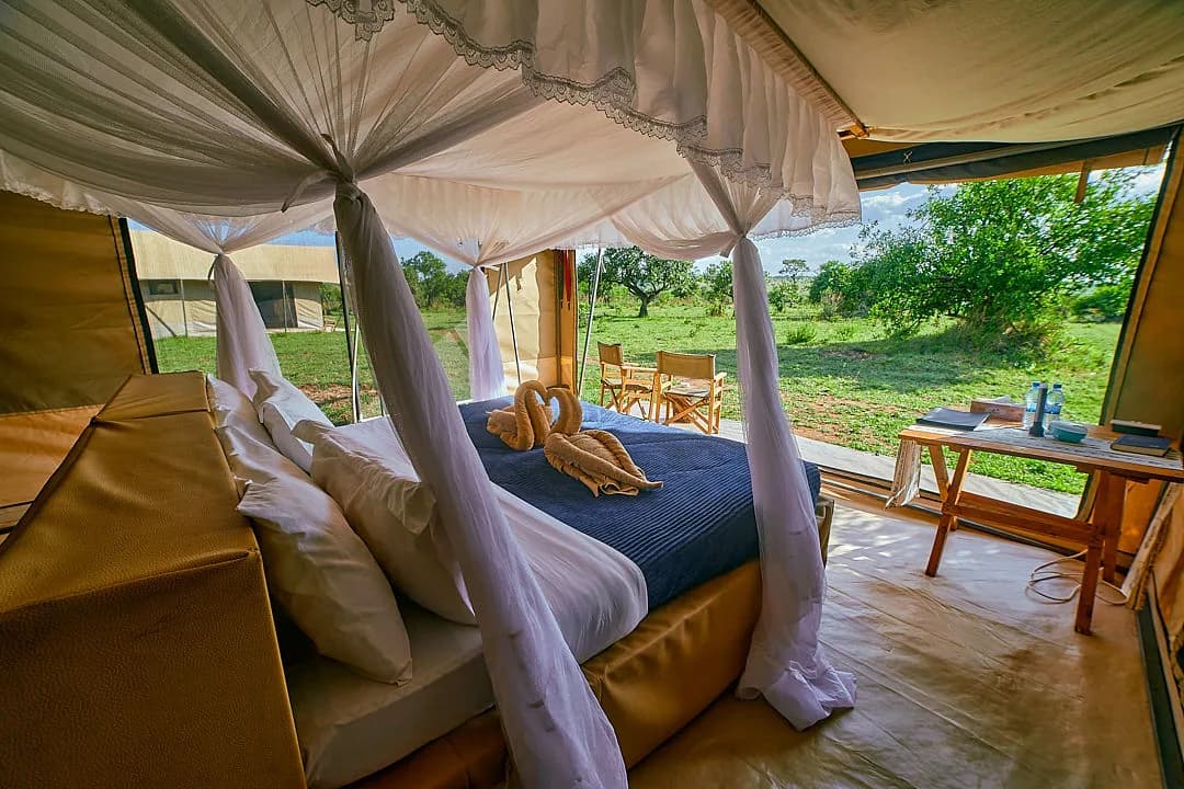 Netted bed with towel swans inside a tent, the plains beyond
