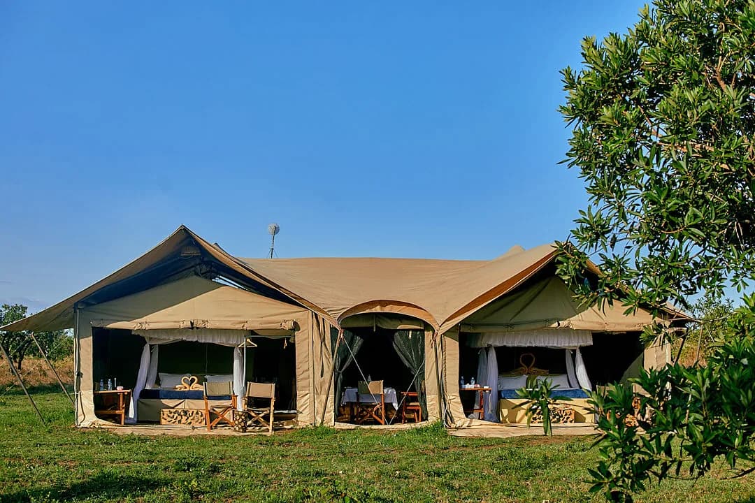 The camp's main tents beside a tree under a blue sky