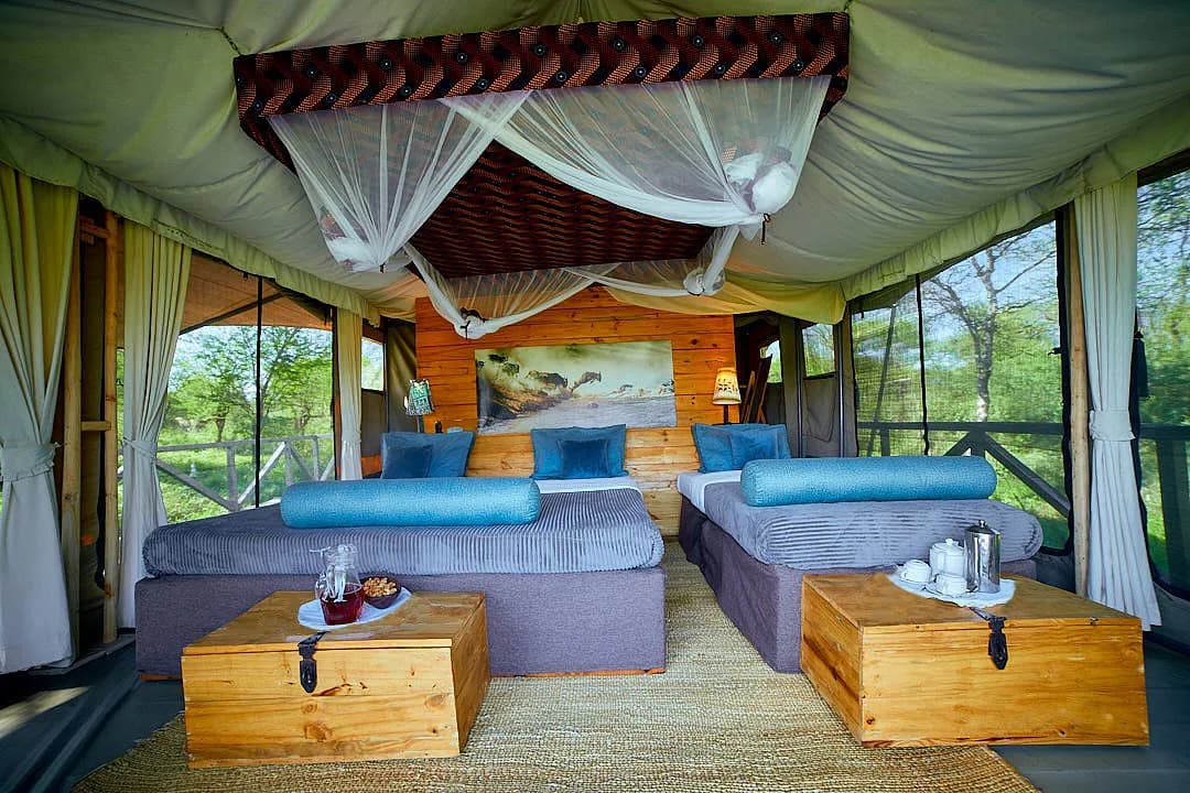 Twin beds with blue bolsters in a tent with wide mesh windows