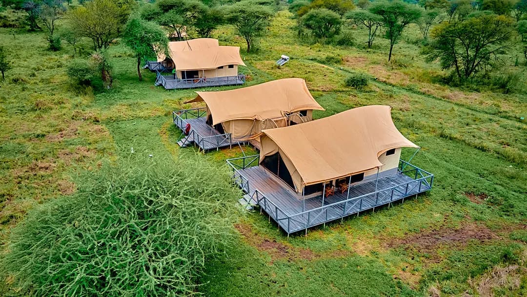 Aerial view of three tents on raised decks in the bush