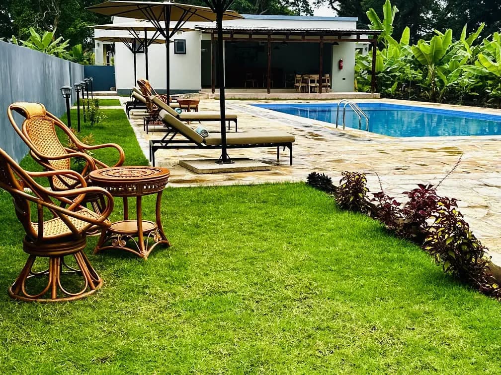 Cane chairs on a lawn beside the swimming pool