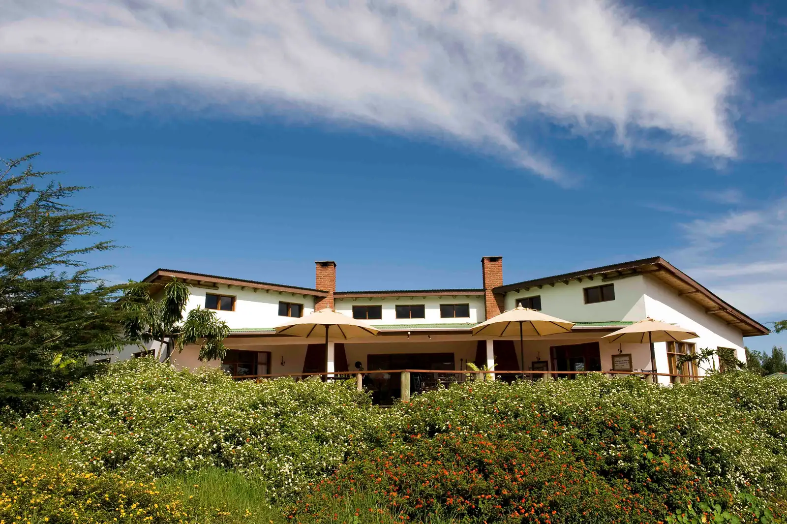 The lodge's white main house with parasols on its terrace, above a flowering garden