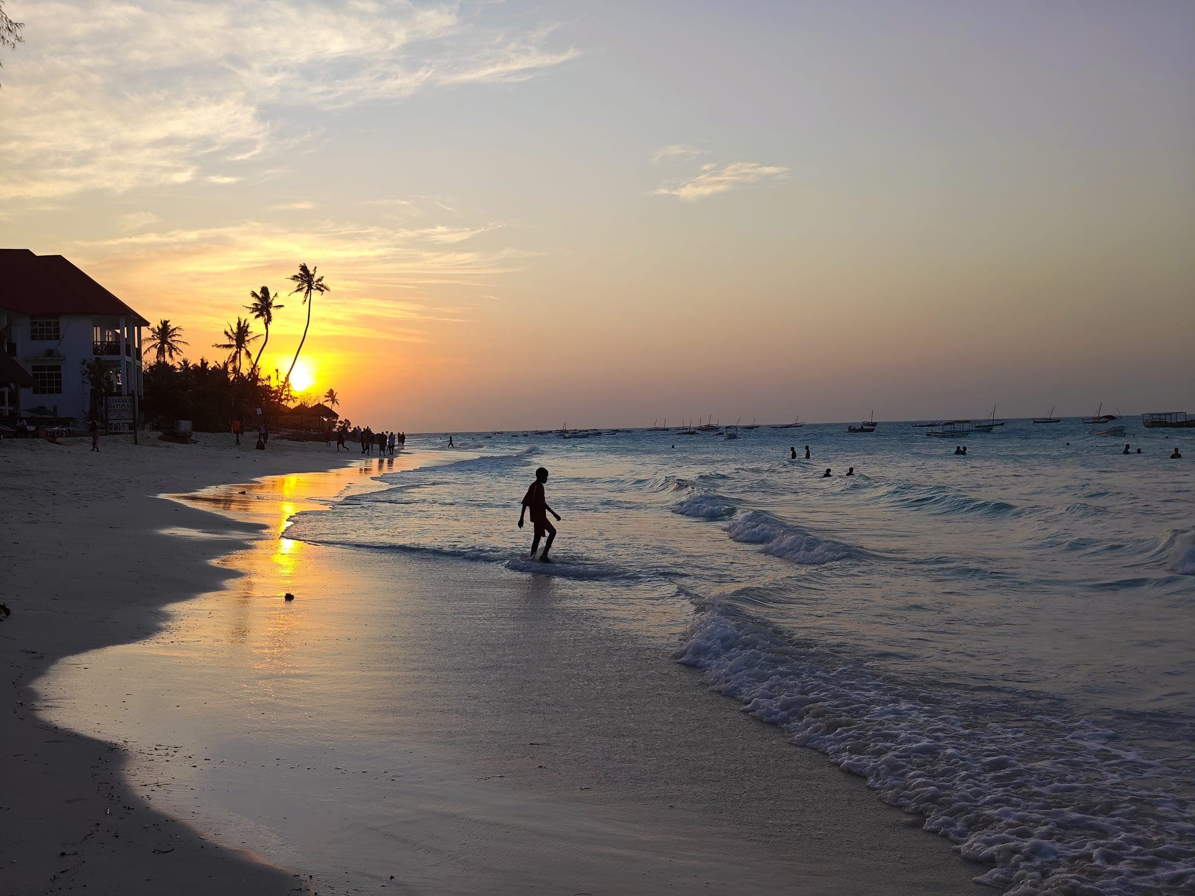 Sunset over a Zanzibar beach, palms and a swimmer silhouetted at the water's edge